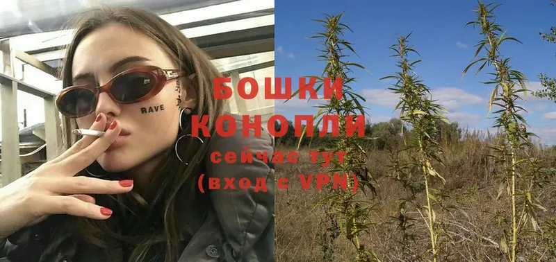 сайты даркнета состав  Протвино  Каннабис White Widow  наркотики 